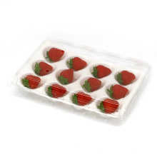 Plastic dried fruit packaging cheap fruit clamshell packaging for strawberry